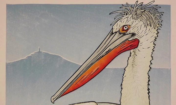 Linocut print of a Somerset pelican